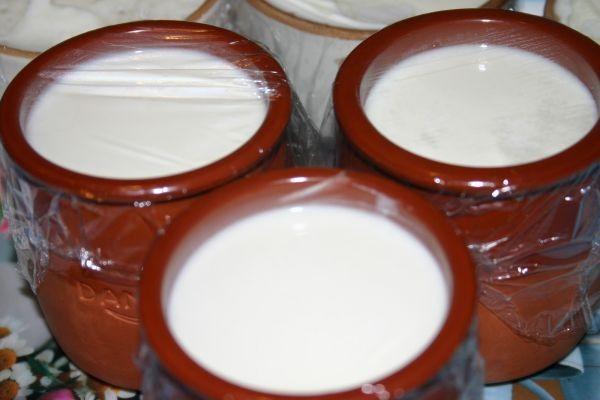 Йогурт в домашних условиях приготовление Йогурт в домашних условиях приготовление