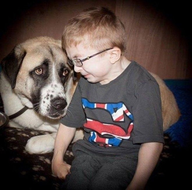 Очень милые фотографии детей с собаками дети собаки