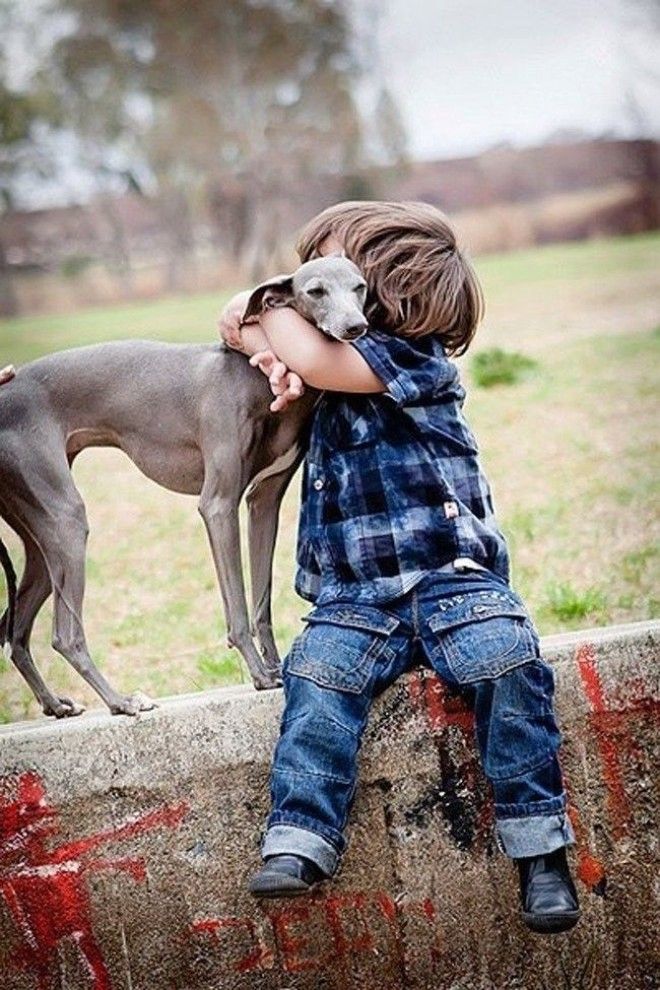 Очень милые фотографии детей с собаками дети собаки