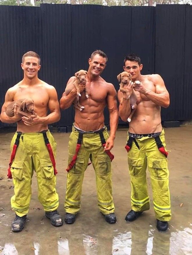 Пожарные снялись с бездомными щенками для благотворительного календаря