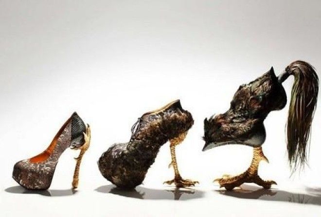 Мода на пернатую обувь