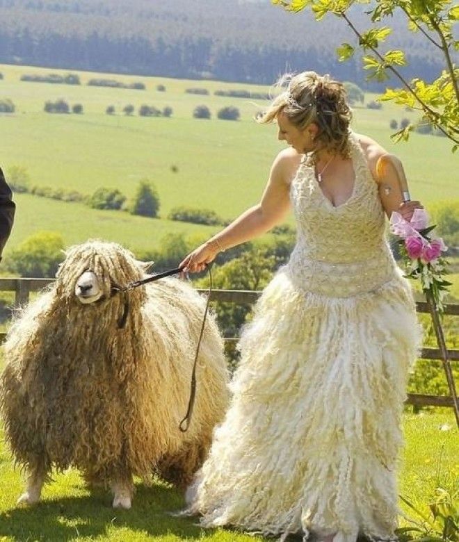 14 невест в отвратительных свадебных платьях