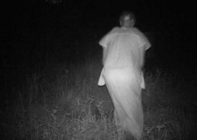 Жуткие кадры с охотничьих камер ночного видения