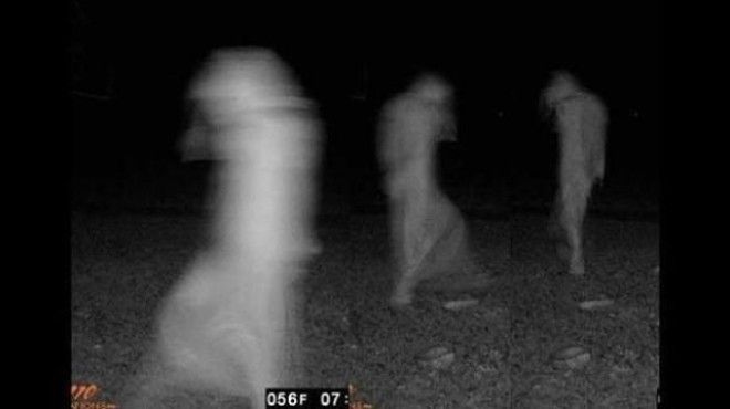 Жуткие кадры с охотничьих камер ночного видения
