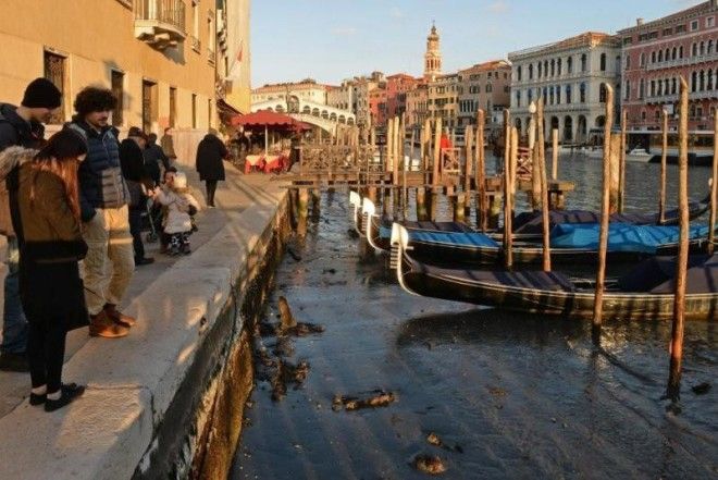 Венеция пересохла шокированных туристов встретили каналы без воды