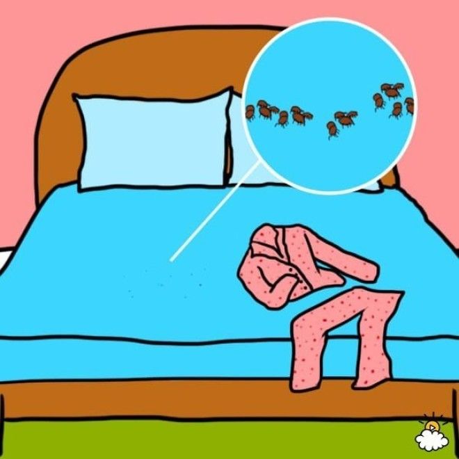 8 причин почему нельзя спать в одной и той же пижаме 2 дня подряд