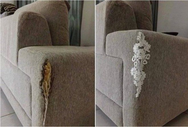 Шкодливый кот ободрал угол дивана но хозяйка знала что делать