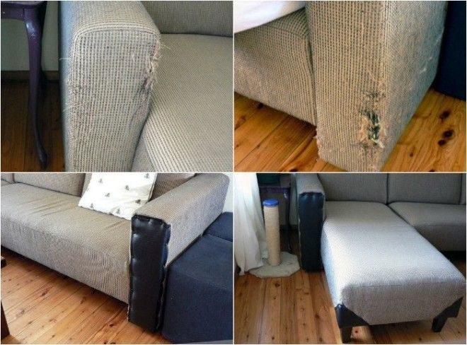 Шкодливый кот ободрал угол дивана но хозяйка знала что делать
