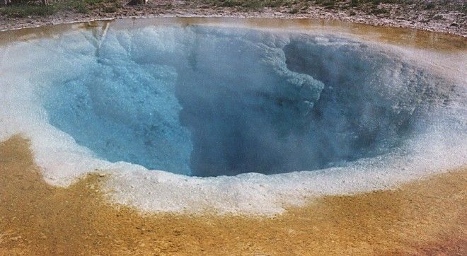 Эти вещи всегда считали натуральными но они абсолютно искусственные