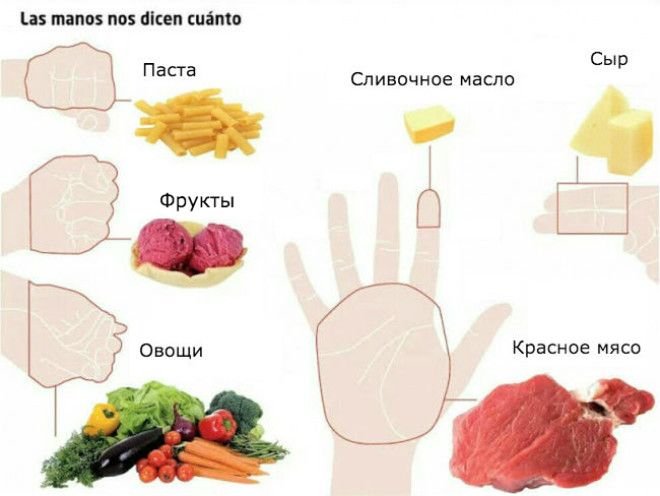 Объясняем на пальцах, сколько еды вам нужно каждый день! 