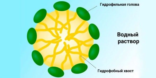 Из чего сделана мицеллярная вода Мицелла