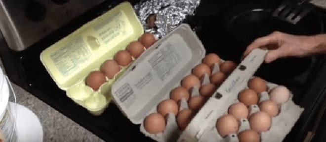 Какое из этих яиц снесла здоровая курица Я раньше этого не знала