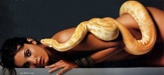 13 самых эффектных фотосессий звезд со змеями