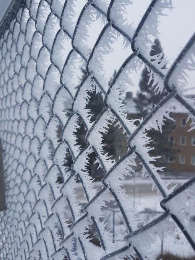 13 леденящих фотографий о том какой суровой может быть зима