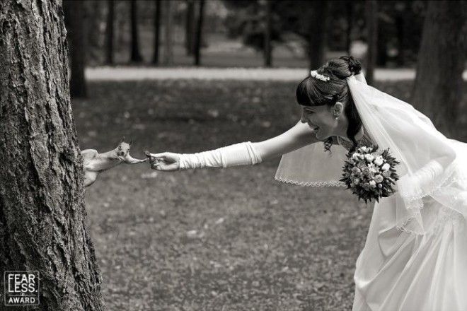 25 лучших свадебных фото со всего мира