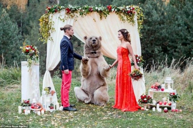 Эти пары провели свои свадебные церемонии в очень экстремальных местах