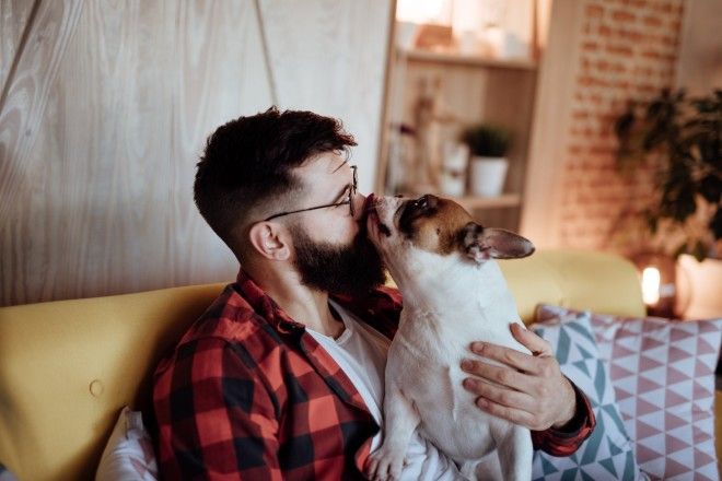 В мужских бородах больше микробов чем в шерсти собак Исследование