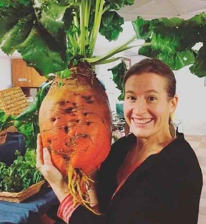 15 гигантских овощей которые оказались абсолютно реальными