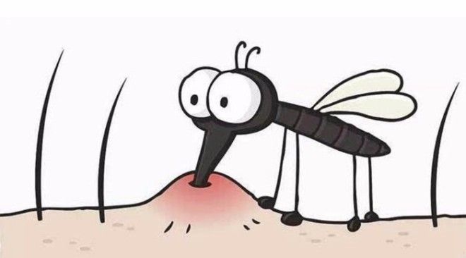 Как спастись от зуда после укуса комара Фото i2hdslbcom