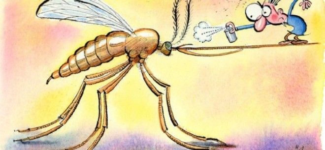 Как спастись от зуда после укуса комара Фото theislandjournalfileswordpresscom