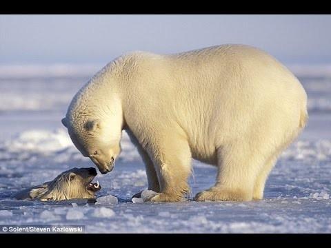 Потрясающе милое видео!