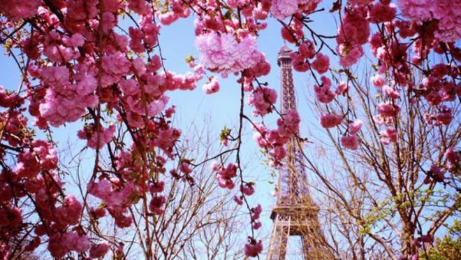 Весна в Париже!