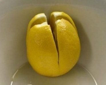 Все мы знаем, что лимон – это отличный источников питательных веществ и витаминов.