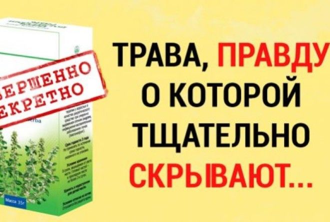 Ее называют «хирург от природы» или «хирург без скальпеля»